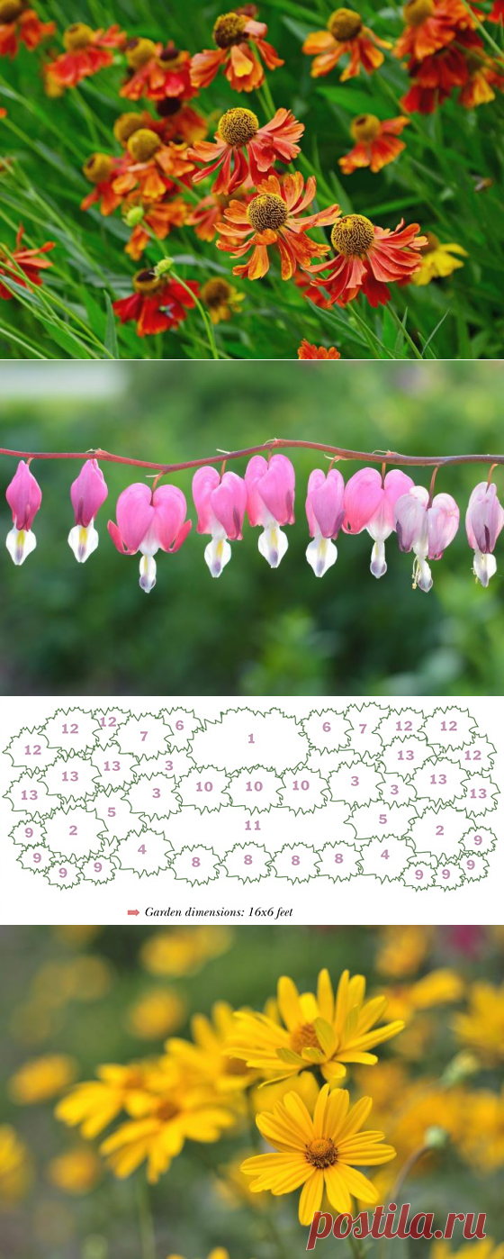 Flower Garden Designs: Three-Season Flower Bed | The Old Farmer's Almanac