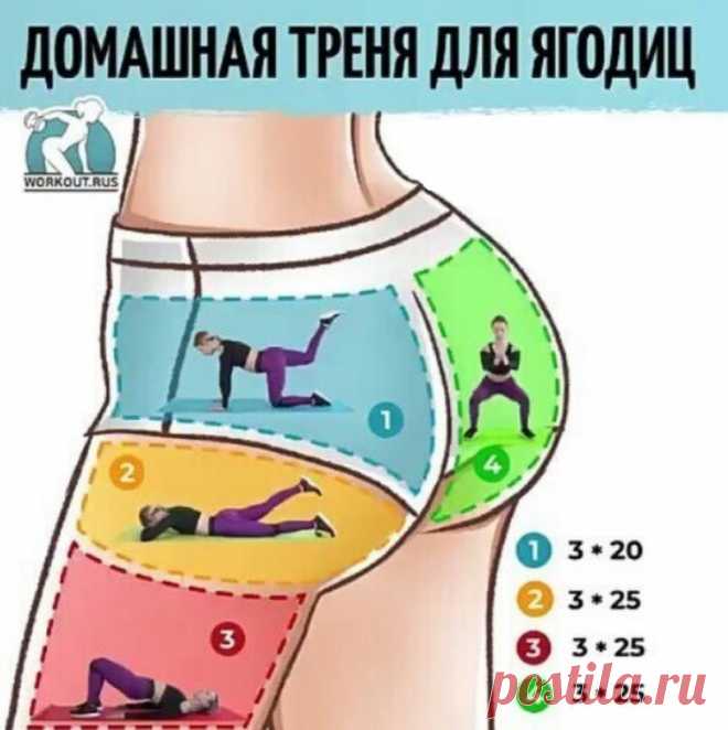 Упругие формы: фитнес-тренеры рассказали, как подкачать мышцы ног и ягодиц без спортзала (ФОТО) - Полемика