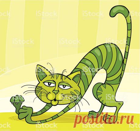 «Кошачья растяжка»: Обезжиривание организма и похудение (2 минуты в день)