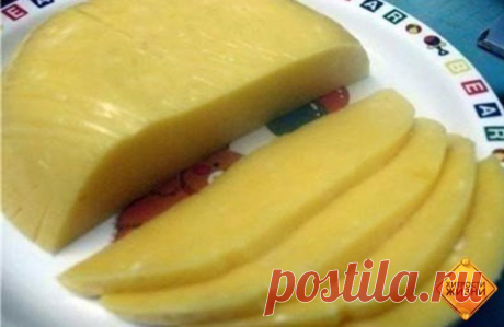 Домашний твердый сыр 
Приготовить домашний твердый сыр не так уж и сложно. Такой сыр можно смело давать малышу, ведь в нем не будет никаких ароматических добавок и красителей. 
Ингредиенты: 
- 500 грамм жирного творога (не менее 9%) зернистого 
- 500 мл молока (чем жирнее, тем лучше, но я брала обычное 3,2%) 
- 50 грамм сливочного масла 
- 0,5 чайной ложки соды 
- 1 яйцо 
- соль по вкусу (примерно 0,5 чайной ложки) 
Способ приготовления домашнего твердого сыра: 
1. Выливаем молок