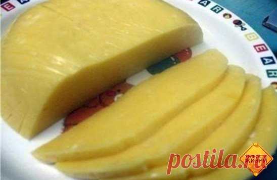 Домашний твердый сыр 
Приготовить домашний твердый сыр не так уж и сложно. Такой сыр можно смело давать малышу, ведь в нем не будет никаких ароматических добавок и красителей. 
Ингредиенты: 
- 500 грамм жирного творога (не менее 9%) зернистого 
- 500 мл молока (чем жирнее, тем лучше, но я брала обычное 3,2%) 
- 50 грамм сливочного масла 
- 0,5 чайной ложки соды 
- 1 яйцо 
- соль по вкусу (примерно 0,5 чайной ложки) 
Способ приготовления домашнего твердого сыра: 
1. Выливаем молок