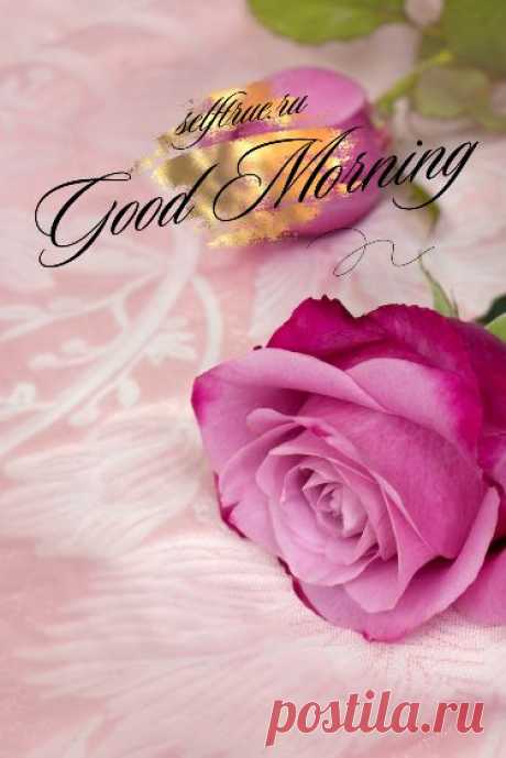 Оформление сторис. Идеи stories Good morning Фон для текста в Инстаграм | Красивый Stories фон Background. Оформление сторис доброе утро | Instagram Story Good morning | Идеи и фоны для сторис Инстаграм. Оригинальные обои для сторис и оформления Инстаграм. Оформление сториз Instagram доброе утро. Оригинальные фоны для текстов Инстаграм. #инстаграм_идеи #доброе_утро #фоны_сторис #сторис #инстаграм_идеи #сторис_инстаграм #оформление_сторис