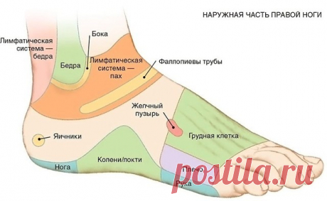 7 АКТИВНЫХ ТОЧЕК НА СТОПЕ ВЕРНУТ ВАС К ЖИЗНИ ЗА ПАРУ МИНУТ!
1. Массируя большой палец ноги, вы воздействуете на гипоталамус. Это очень полезно людям, которые страдают избыточным весом, — нажатия на эту точку помогают контролировать аппетит, способствуют естественному похудению.
2. В центре большого пальца находится точка, отвечающая за работу гипофиза — главной гормональной железы. Никакой гормональный дисбаланс вам не будет страшен, если уделять этой точке достаточно вним...