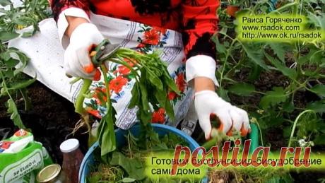 Готовим биофунгицид-биоудобрение сами дома