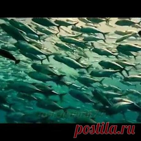 Интересные новости