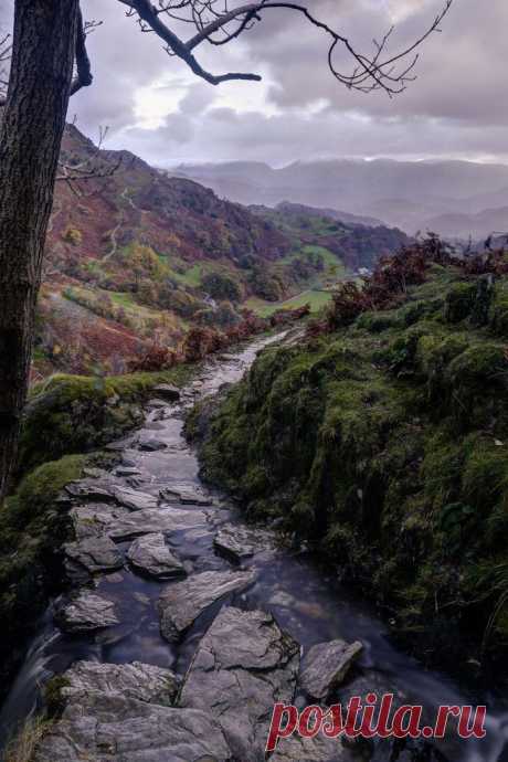 Одноклассники