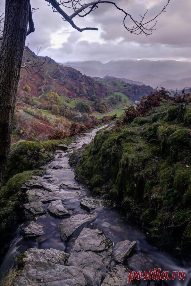 Одноклассники