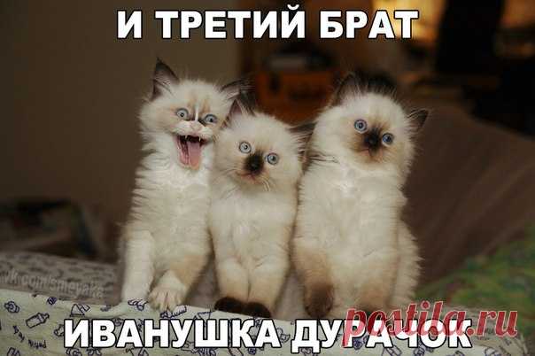 Новости