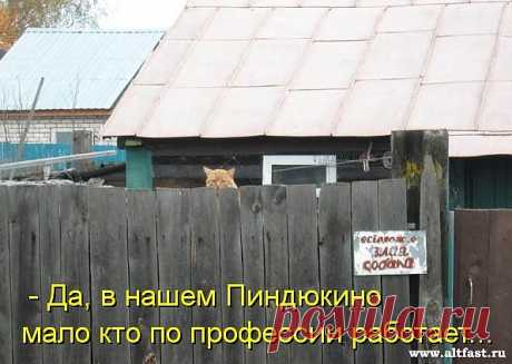 Когда-нибудь обращали внимание, что собачники предпочитают кофе, а кошатники — чай?