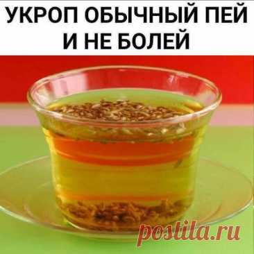 Укроп обычный пeй и не болeй! ️