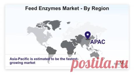 Feed Enzymes Market is likely to witness an impressive CAGR of 9.1% during the forecast period. The major factor primarily driving the market for feed enzymes is the growing concern regarding animal health and surge in demand for the nutrient uptake of feed.
