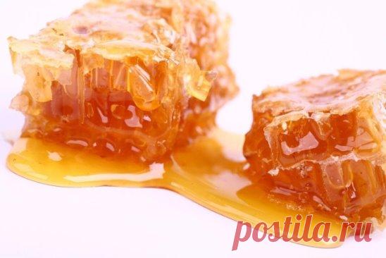 Полечимся. Медовые соты.
Воск можно жевать с лечебной целью.
Народная медицина с давних времен использует сотовый мед для лечения многих заболеваний. Сотовый мед жуют вместе с сотами; а соты преимущественно состоят из воска.
Жевание воска повышает обмен веществ, вызывает сильное слюноотделение и, как следствие, - повышает секреторную и моторную функцию желудка, хорошо очищает органы дыхания. Зубы при этом очищаются от налета, укрепляются десны, излечивается насморк.
* При насморке, гаймори