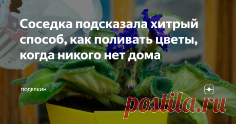 Соседка подсказала хитрый способ, как поливать цветы, когда никого нет дома Простейшее приспособление, которое будет поливать цветы, если вас нет дома.
