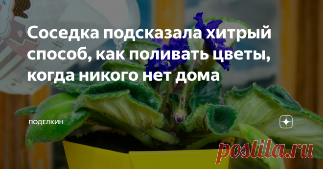 Соседка подсказала хитрый способ, как поливать цветы, когда никого нет дома Простейшее приспособление, которое будет поливать цветы, если вас нет дома.