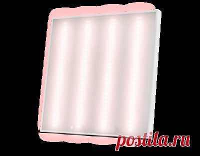 Фитосветильник светодиодный офисный ECOLED-44-HT-418 Fito IP20