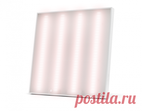 Фитосветильник светодиодный офисный ECOLED-44-HT-418 Fito IP20