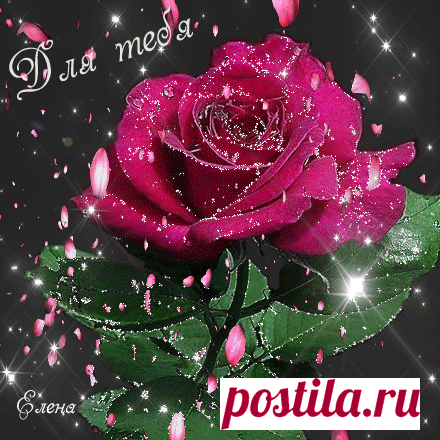 (60) Одноклассники