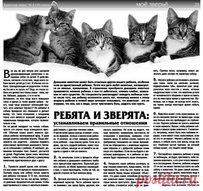 Ребята и зверята: устанавливаем отношения