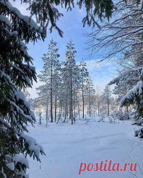 Зимняя сказка в Валдае 

 yaninalusta