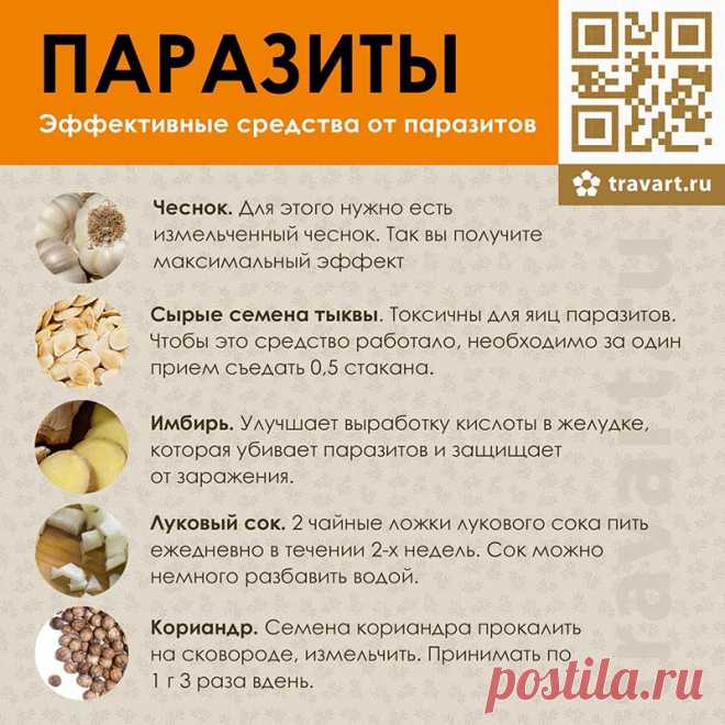 Народные средства от паразитов