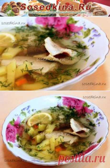 Калья из тайменя.