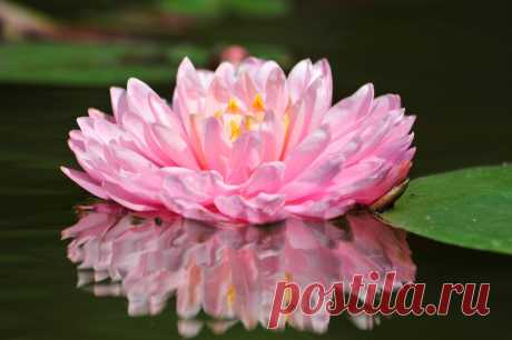 Редактировать описание