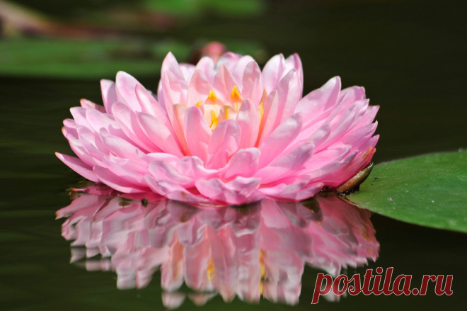 Редактировать описание