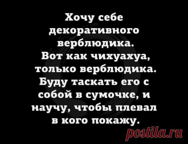 17 разрывных анекдотов для отличного настроя Каждому из нас иногда хочется на минутку отвлечься от повседневной рутины. 
Для этого можно провести время в приятной компании или порадовать себя покупкой, о которой давно мечтали или съесть вкусный ...