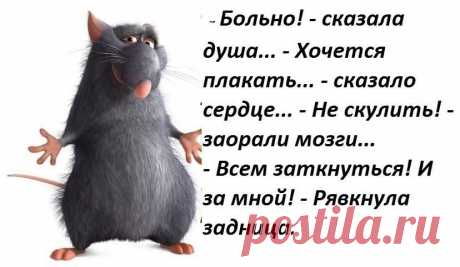 СПОКОЙСТВИЕ... ТОЛЬКО СПОКОЙСТВИЕ... ДЕЛО-ТО ЖИТЕЙСКОЕ...