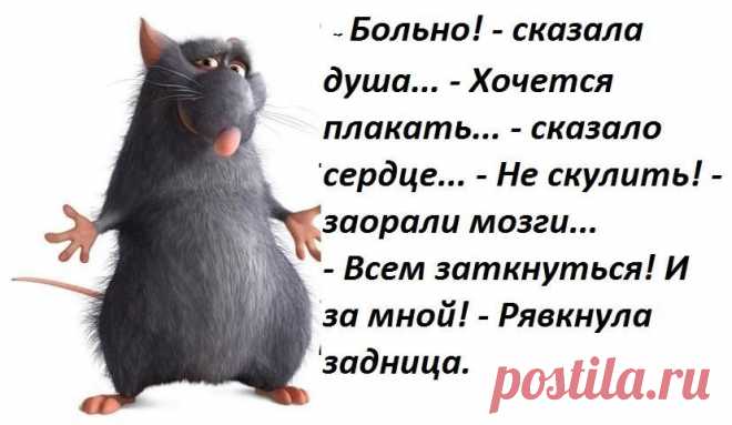 СПОКОЙСТВИЕ... ТОЛЬКО СПОКОЙСТВИЕ... ДЕЛО-ТО ЖИТЕЙСКОЕ...