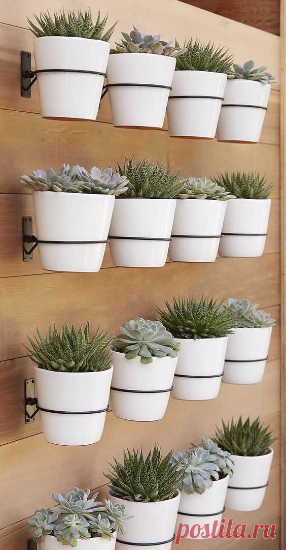 30 Vertical Wall Planter Pots Ideas