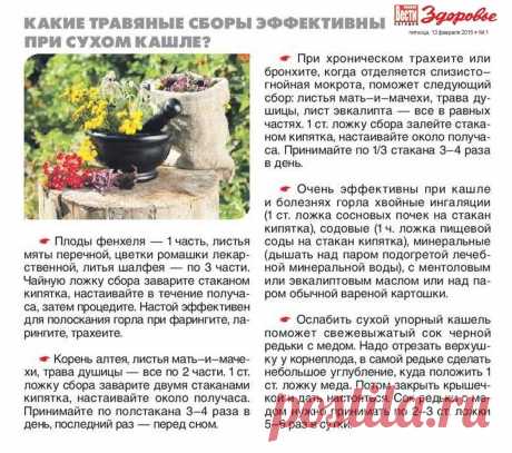 Какие травяные сборы эффективны при сухом кашле