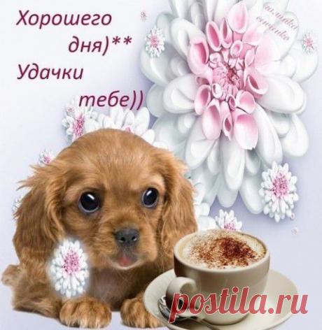 Пита - арабский хлеб «Держи карман шире!» | Домашняя кулинария