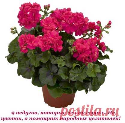 (66) Одноклассники