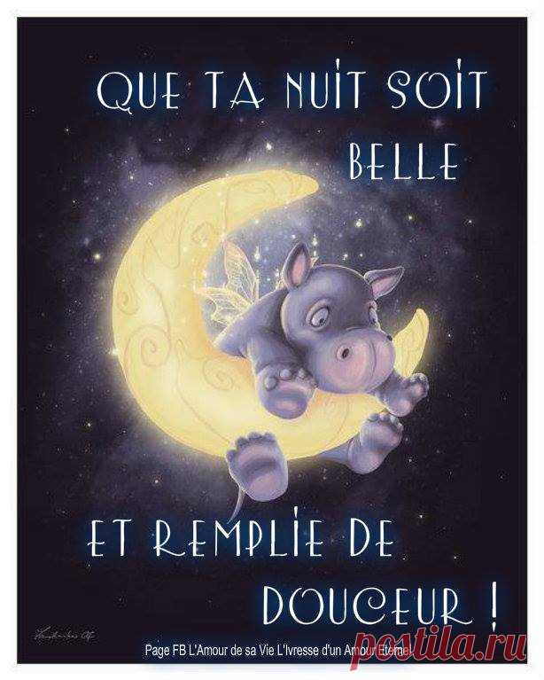 Bonne nuit image #5078 - Que ta nuit soit belle et remplie de douceur ! - Insolite, Illustration, Hippopotame, Lune - Partager cette photo sur Facebook, Twitter et WhatsApp.