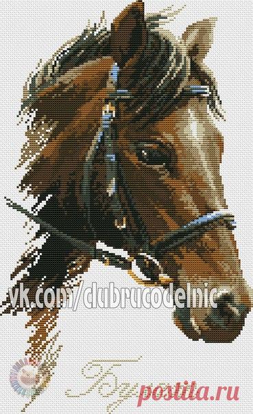 #Животные@clubrucodelnic