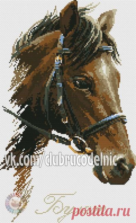 #Животные@clubrucodelnic