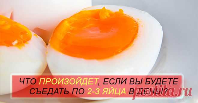 Это научно подтверждённые факты: вся правда о влиянии яиц на здоровье человека!