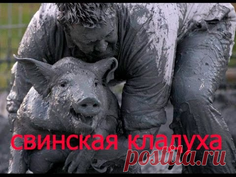 В ПОИСКАХ ЗОЛОТА И МОНЕТ ПО СЛЕДУ СВИНЕЙ МУТАНТОВ. СВАЛКИ В ЛЕСУ ИЛИ СВИНСКИЕ ПОДСНЕЖНИКИ. - YouTube