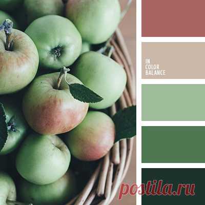 Больше палитр на сайте color.romanuke.com
#цвет #цвета #палитра #вдохновение #inspiration #incolorbalance