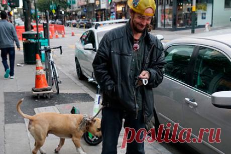 Побывавшая в США россиянка рассказала правду об отношении американцев к русским. Российская блогерша Екатерина Новикова, проживающая в Кремниевой долине и путешествующая по США, рассказала об отношении местных жителей к русским. Так, по словам девушки, большинство жителей Северной Калифорнии — дружелюбные и спокойные люди, которые не испытывают никакого негатива по отношению к туристам из России.