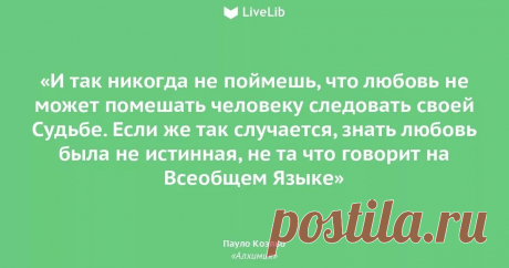 вдвоем лучше нежели одному: 8 тыс изображений найдено в Яндекс.Картинках