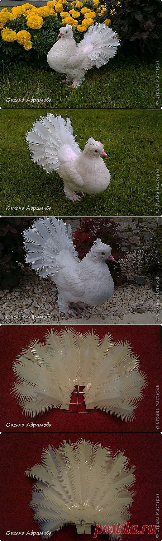 ГОЛУБЬ ( Королевский, павлинохвостый) из пластиковых бутылок | Страна Мастеров