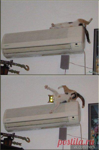 До и после включения кондиционера