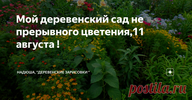 Мой деревенский сад не прерывного цветения,11 августа ! Все утро крутится песня  в голове !                                                                                                                        Закружилась, в саду карусель !                                                                                                                                                                         Рыжая осень, в прятки играет                                       ...