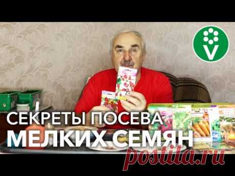КАК СЕЯТЬ, ЕСЛИ СЕМЕНА КАК ПЫЛЬ? ВОСПОЛЬЗУЙТЕСЬ ЭТИМИ СПОСОБАМИ!