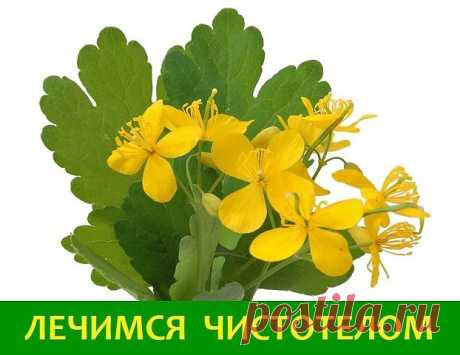 (70) Одноклассники