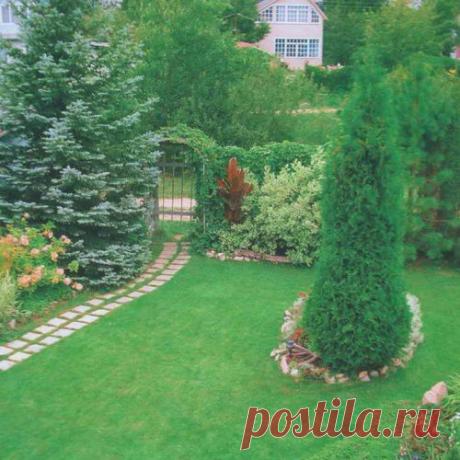 Планировка участка 6 соток