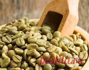 Основные полезные свойства зеленого кофе | Народная медицина
Обычному человеку приходится сталкиваться уже с обжаренными зернами кофе, поэтому в народе устоялась мысль, что кофейные зерна имеют темно-коричневый цвет. На самом же деле натуральный сырой кофе имеет зеленый цвет. Поэтому, когда говорят — полезные свойства зеленого кофе — имеют в виду именно сырой продукт. Это важное замечание, так как после обжарки некоторые из качеств зерен теряются.