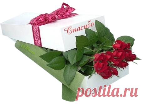 Профиль пользователя Людмила (Людмила)